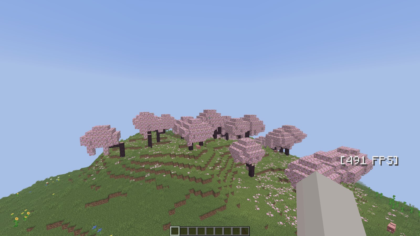 Minecraft running before optimizing, 491 FPS